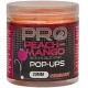 Pop-Ups peach and mango 20mm.