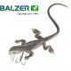 Balzer the great gecko